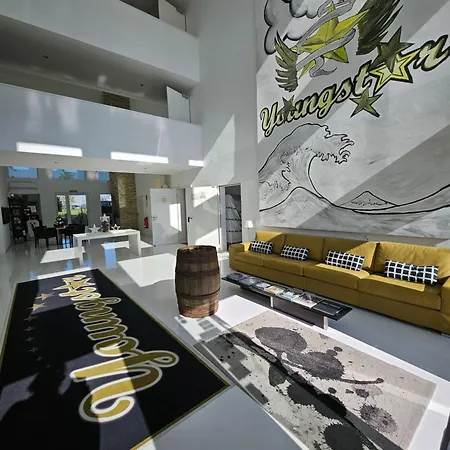 Designhotel Youngstar Hotell 3*